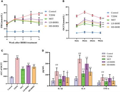 Baihu renshen decoction ameliorates type 2 diabetes mellitus in rats through affecting gut microbiota enhancing gut permeability and inhibiting TLR4/NF-κB-mediated inflammatory response